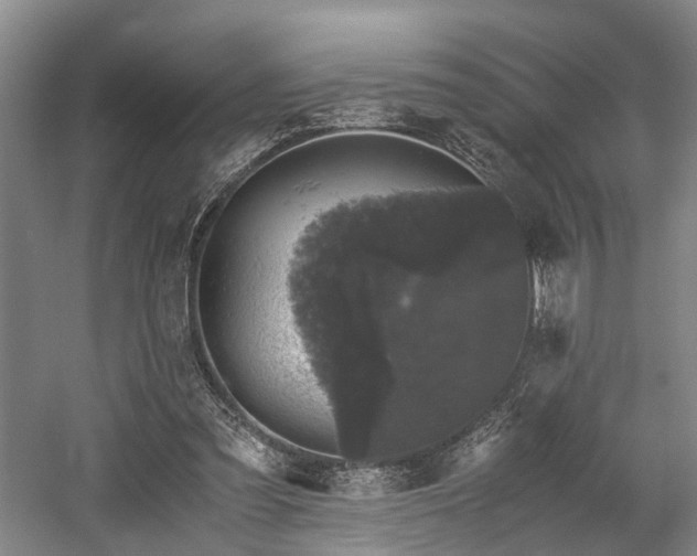 X0000058760301200509301025