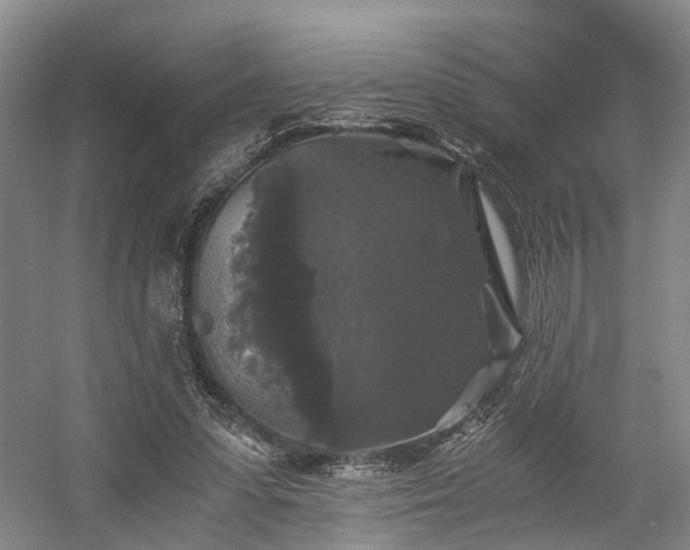 X0000058760303200509301025