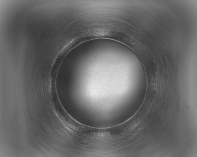 X0000058760304200509301025