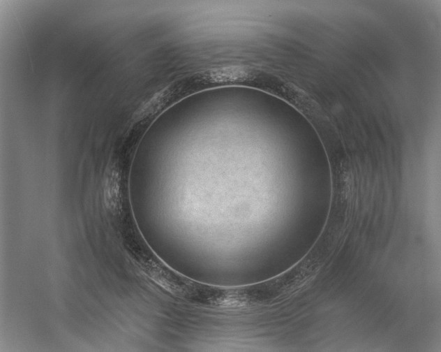 X0000058760308200509301025