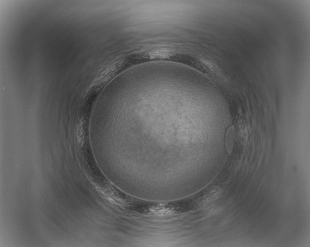 X0000058760311200509301025