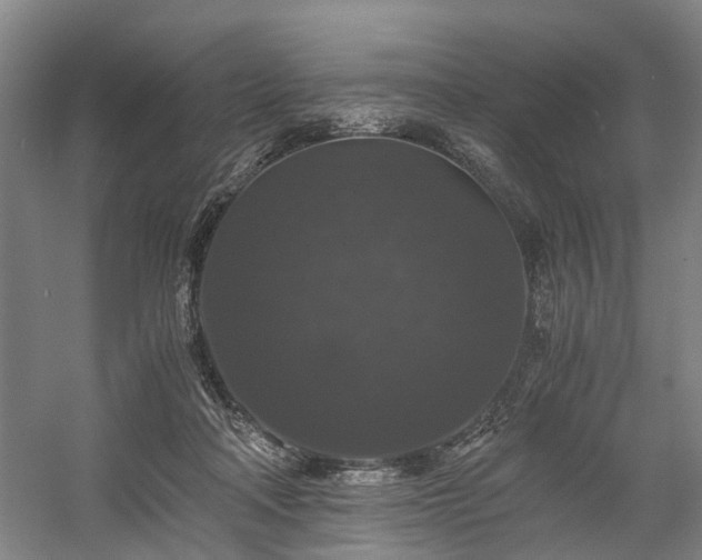 X0000058760314200509301025