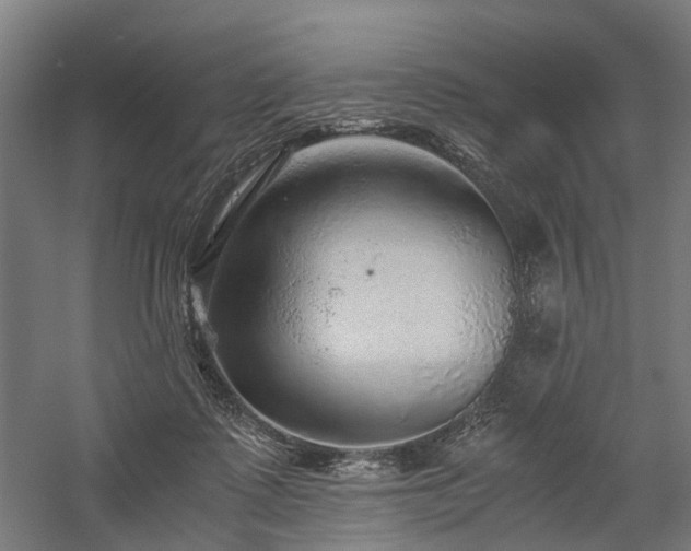 X0000058760315200509301025