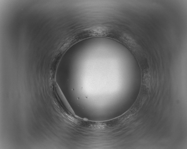 X0000058760318200509301024