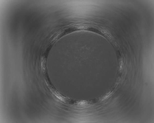 X0000058760325200509301024