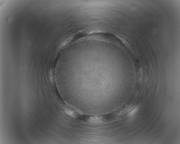 X0000058760335200509301024