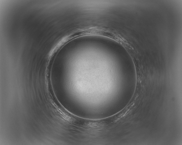 X0000058760341200509301023