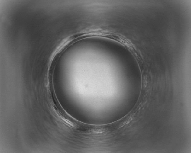 X0000058760344200509301023