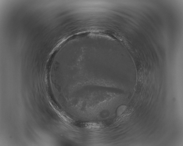 X0000058760347200509301024