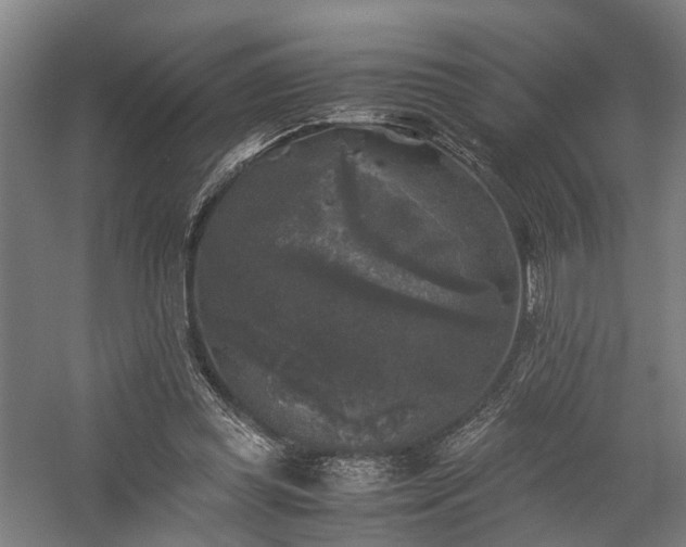 X0000058760349200509301024