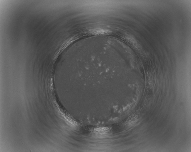 X0000058760357200509301024