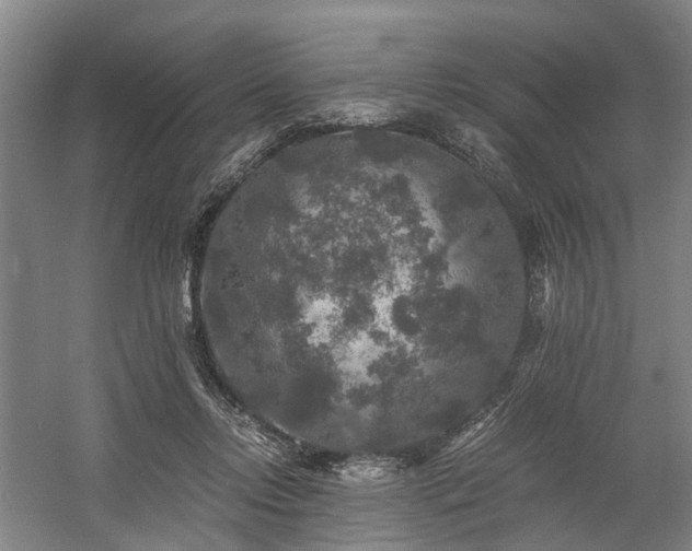 X0000058760358200509301024