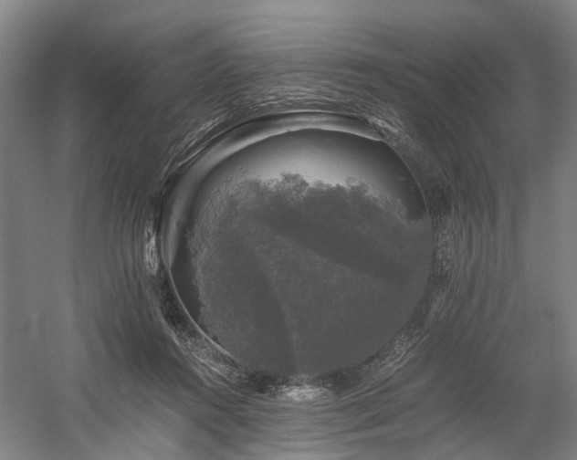 X0000058760360200509301024