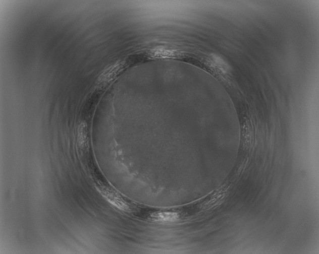 X0000058760361200509301024