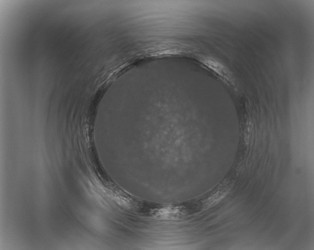 X0000058760366200509301024