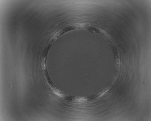 X0000058760383200509301024