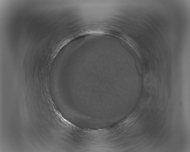 X0000058760385200509301023