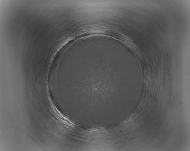 X0000058760386200509301023
