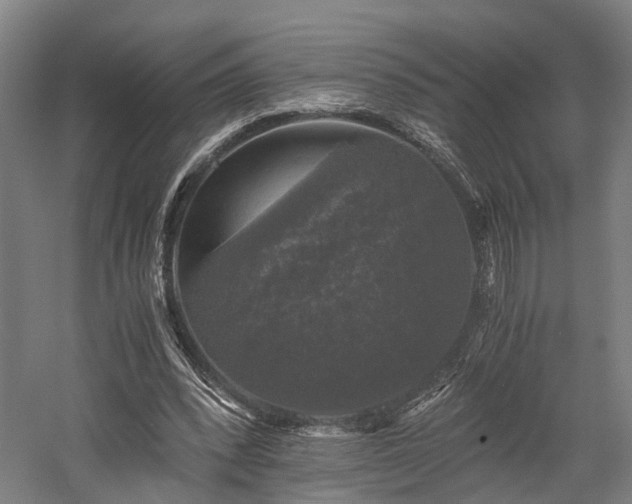 X0000058760392200509301023