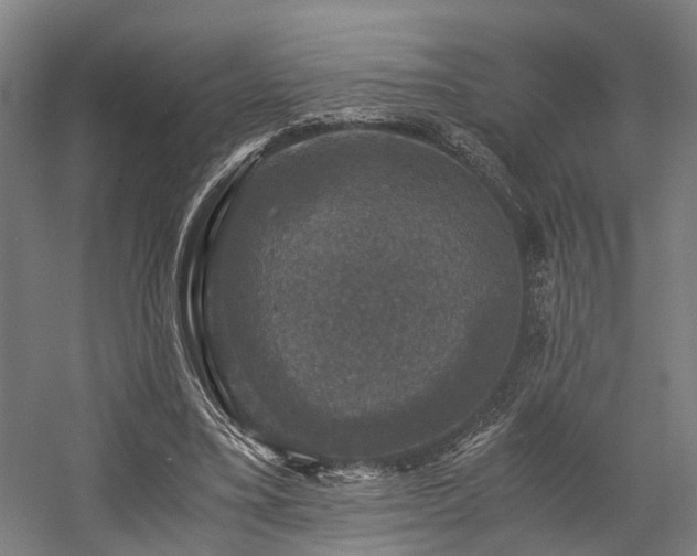 X0000058760395200509301023