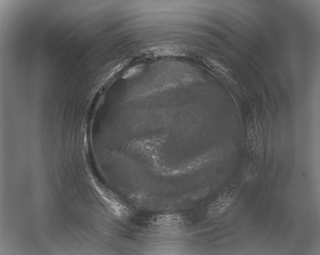X0000058760398200509301023