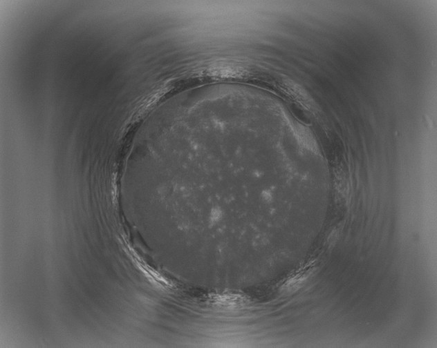 X0000058760401200509301023