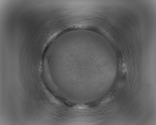 X0000058760403200509301023