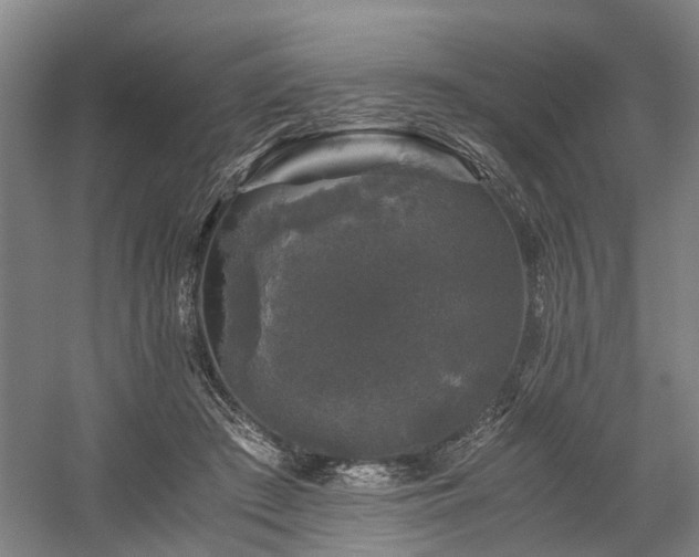 X0000058760409200509301023