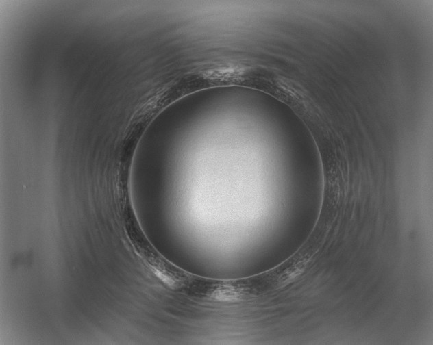 X0000058760416200509301023