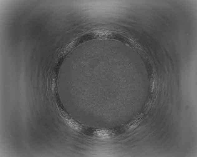 X0000058760417200509301023