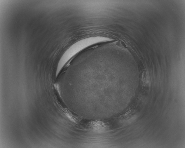 X0000058760424200509301023