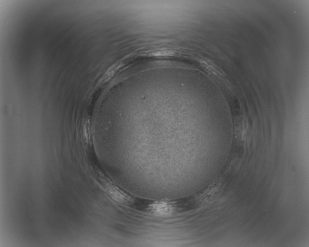 X0000058760425200509301023