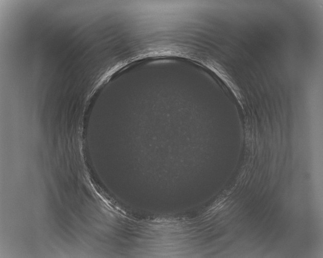 X0000058760434200509301022