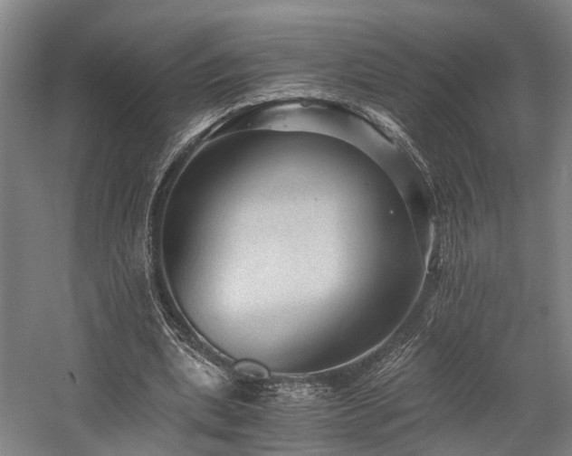 X0000058760439200509301022