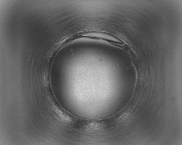X0000058760441200509301022