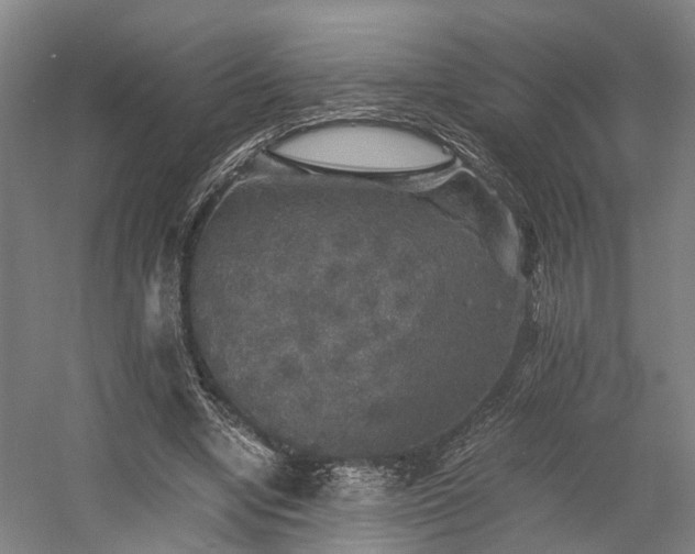 X0000058760442200509301022
