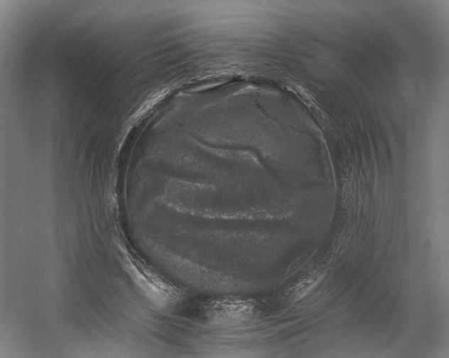 X0000058760443200509301022