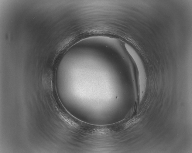 X0000058760446200509301022