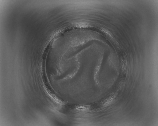 X0000058760447200509301022