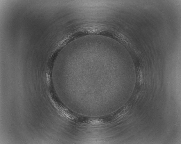 X0000058760456200509301022