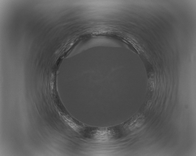 X0000058760458200509301022