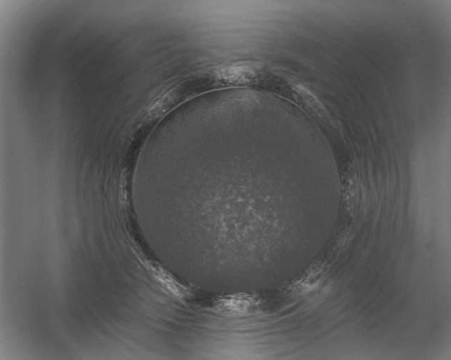 X0000058760466200509301022