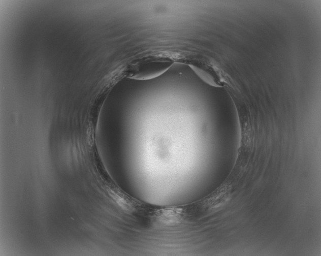 X0000058760474200509301022