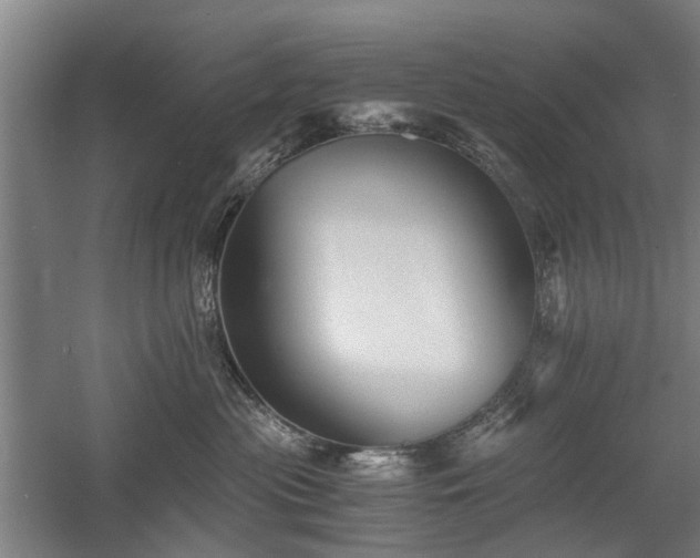 X0000058760477200509301022