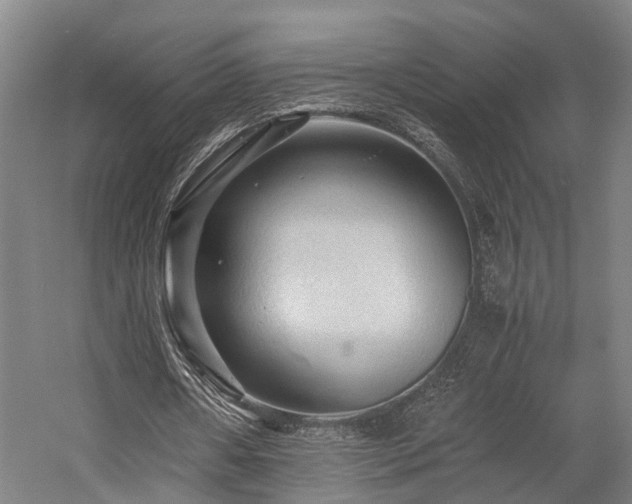 X0000058760482200509301022