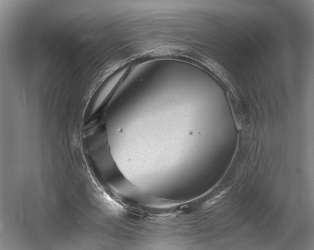 X0000058760485200509301022