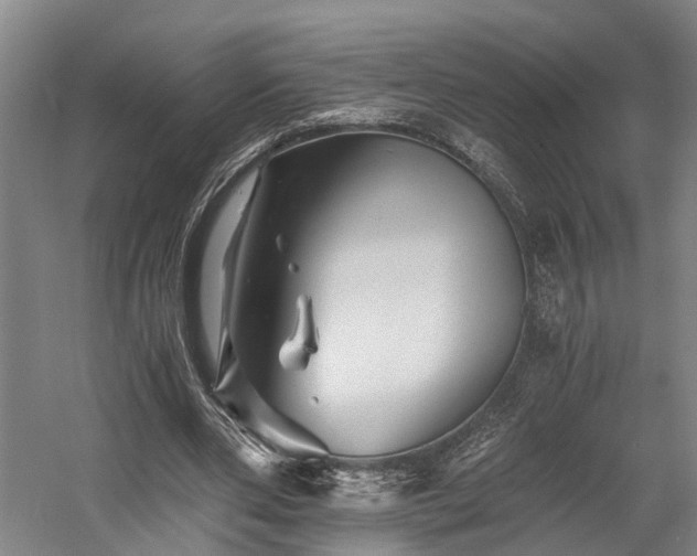 X0000058760486200509301022