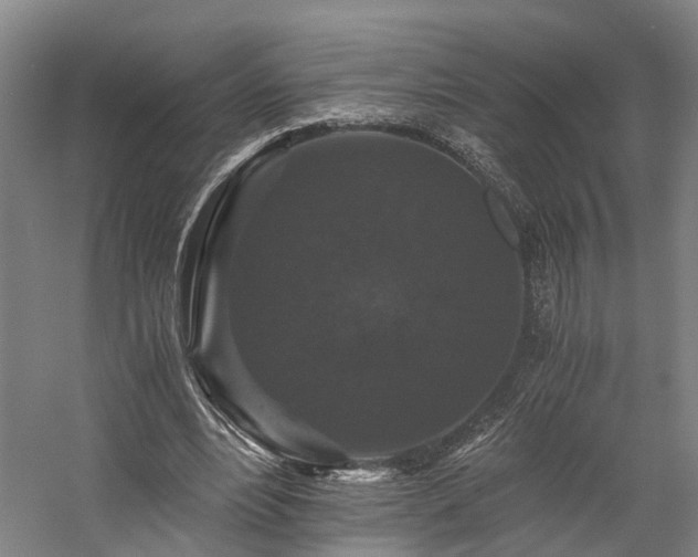 X0000058760488200509301022