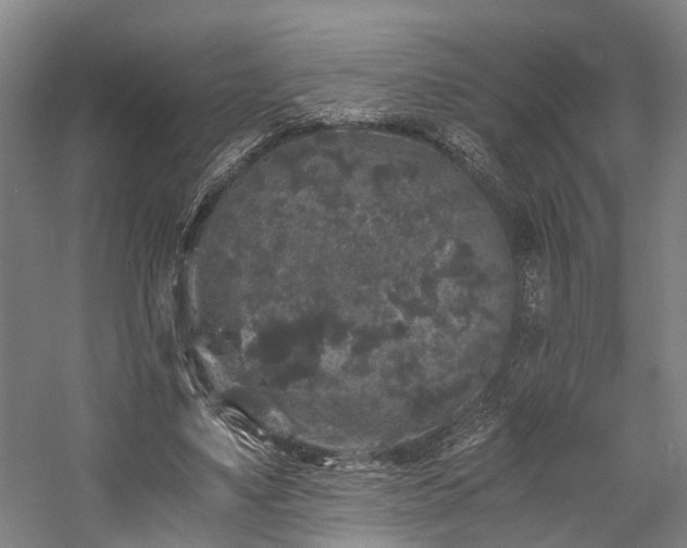 X0000058760491200509301021