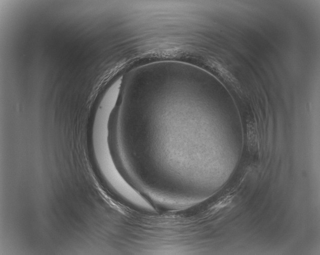 X0000058760493200509301021